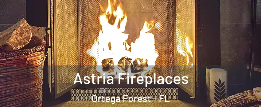 Astria Fireplaces Ortega Forest - FL