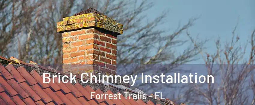 Brick Chimney Installation Forrest Trails - FL