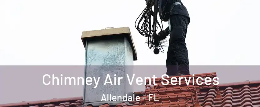 Chimney Air Vent Services Allendale - FL