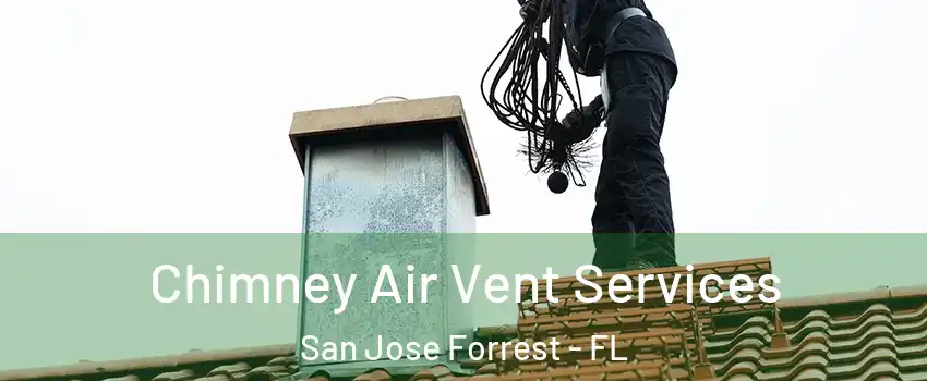 Chimney Air Vent Services San Jose Forrest - FL