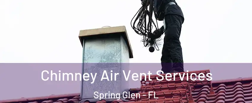 Chimney Air Vent Services Spring Glen - FL