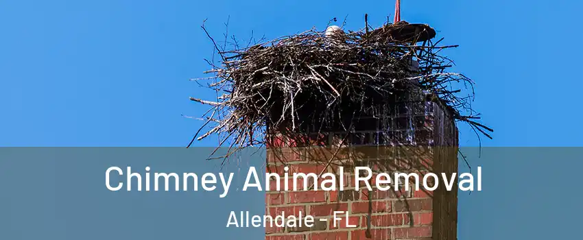 Chimney Animal Removal Allendale - FL