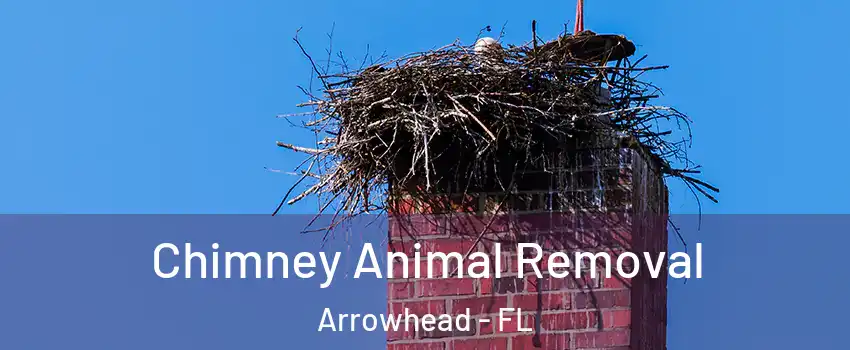 Chimney Animal Removal Arrowhead - FL