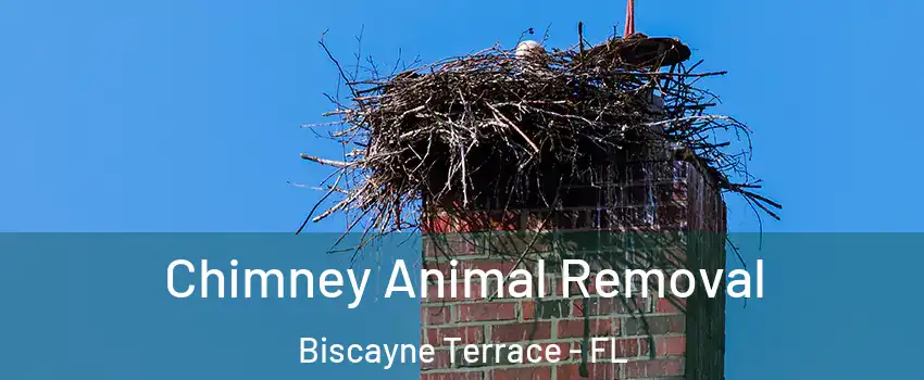 Chimney Animal Removal Biscayne Terrace - FL