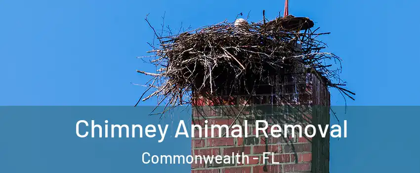 Chimney Animal Removal Commonwealth - FL