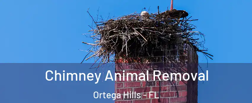 Chimney Animal Removal Ortega Hills - FL