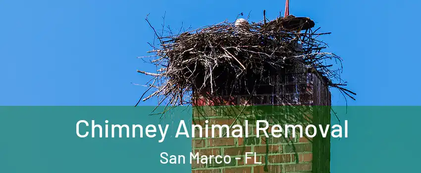 Chimney Animal Removal San Marco - FL