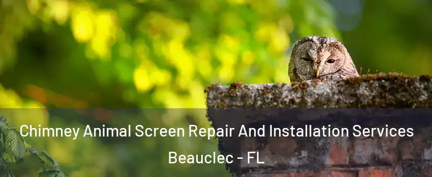 Chimney Animal Screen Repair And Installation Services Beauclec - FL