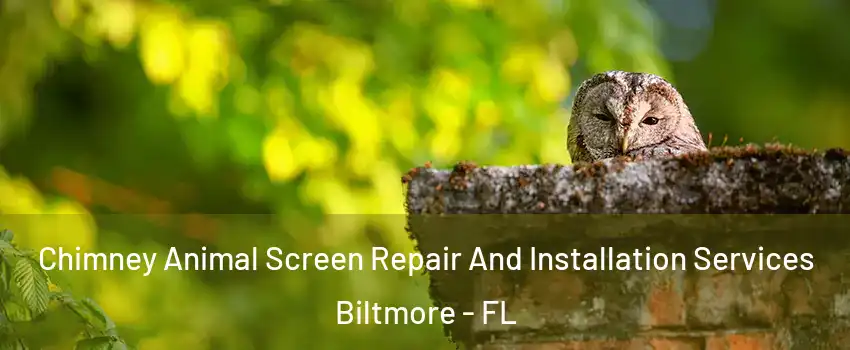 Chimney Animal Screen Repair And Installation Services Biltmore - FL