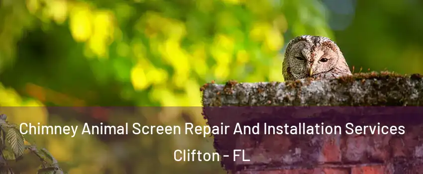 Chimney Animal Screen Repair And Installation Services Clifton - FL
