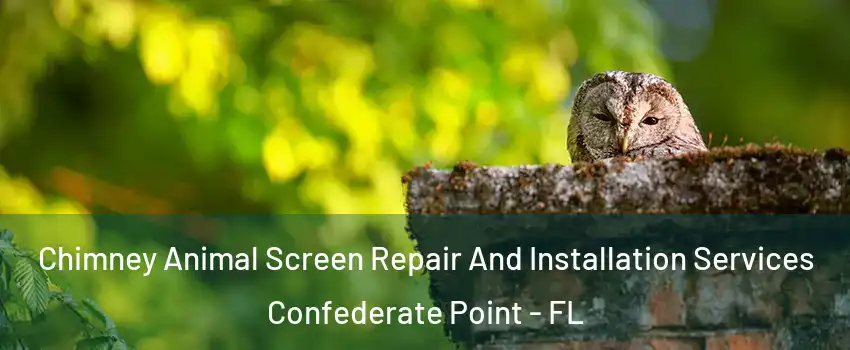 Chimney Animal Screen Repair And Installation Services Confederate Point - FL