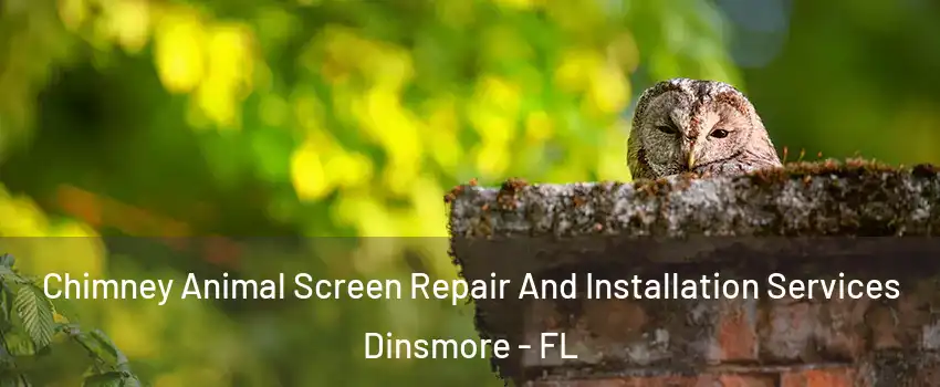 Chimney Animal Screen Repair And Installation Services Dinsmore - FL