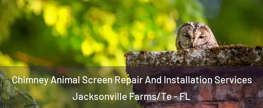 Chimney Animal Screen Repair And Installation Services Jacksonville Farms/Te - FL