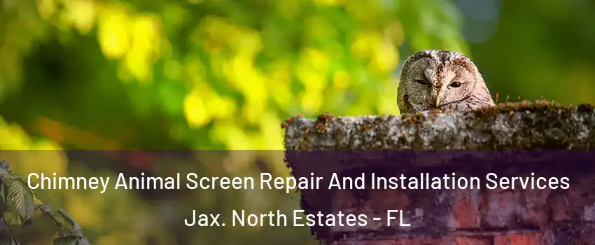 Chimney Animal Screen Repair And Installation Services Jax. North Estates - FL