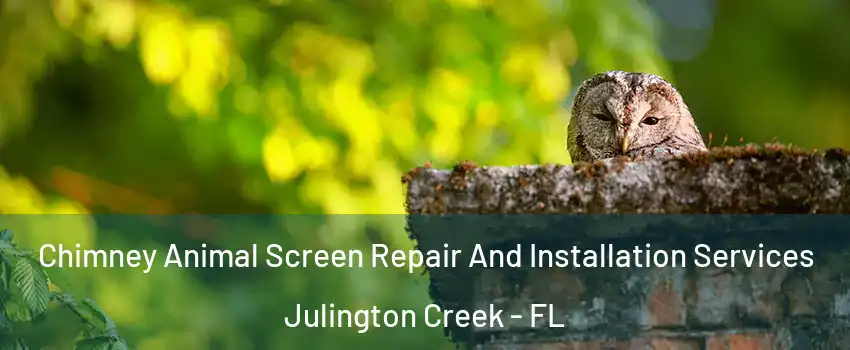 Chimney Animal Screen Repair And Installation Services Julington Creek - FL