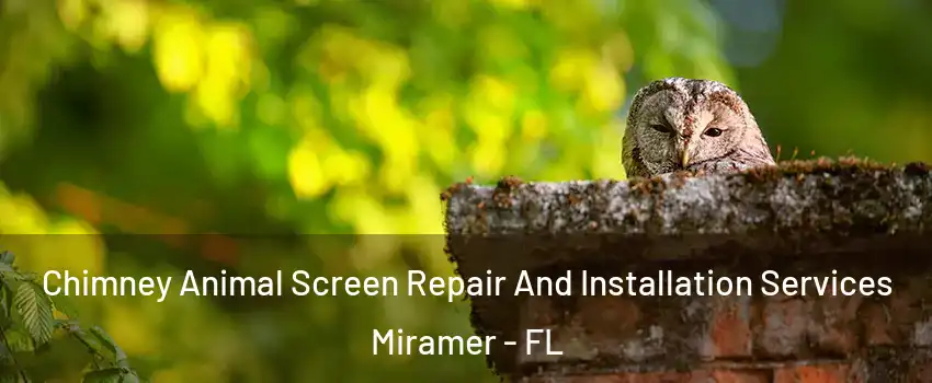 Chimney Animal Screen Repair And Installation Services Miramer - FL