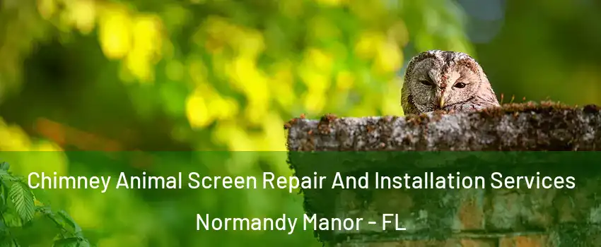 Chimney Animal Screen Repair And Installation Services Normandy Manor - FL