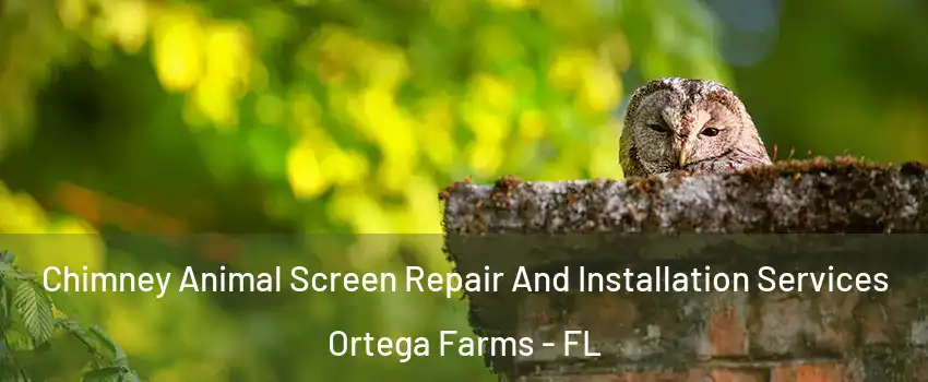 Chimney Animal Screen Repair And Installation Services Ortega Farms - FL