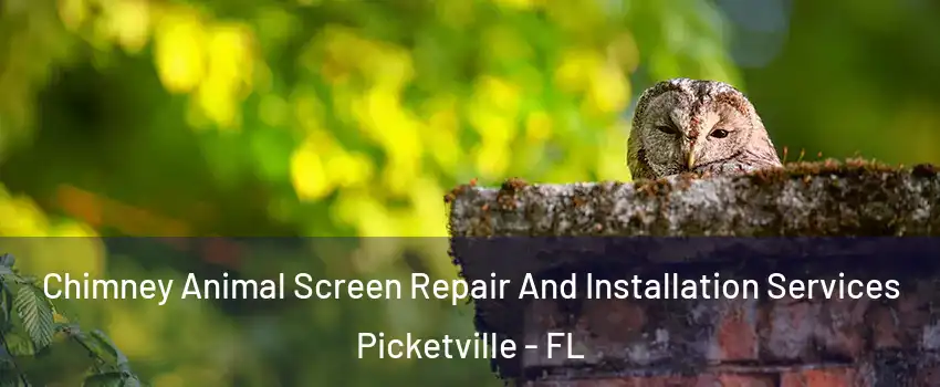 Chimney Animal Screen Repair And Installation Services Picketville - FL