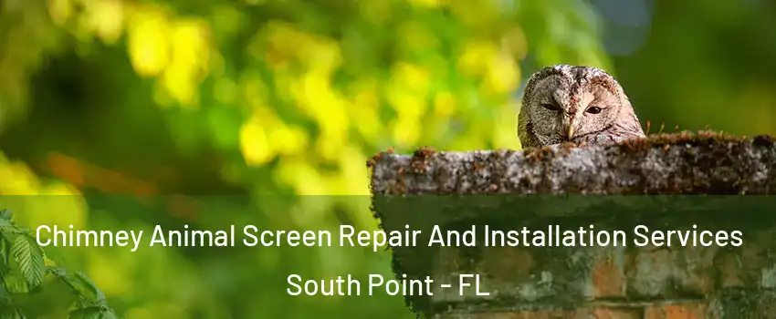 Chimney Animal Screen Repair And Installation Services South Point - FL