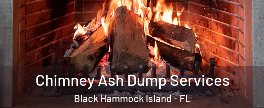 Chimney Ash Dump Services Black Hammock Island - FL