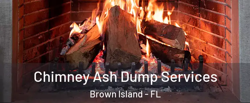 Chimney Ash Dump Services Brown Island - FL
