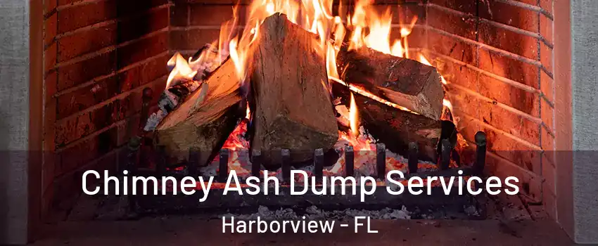 Chimney Ash Dump Services Harborview - FL
