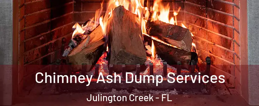 Chimney Ash Dump Services Julington Creek - FL