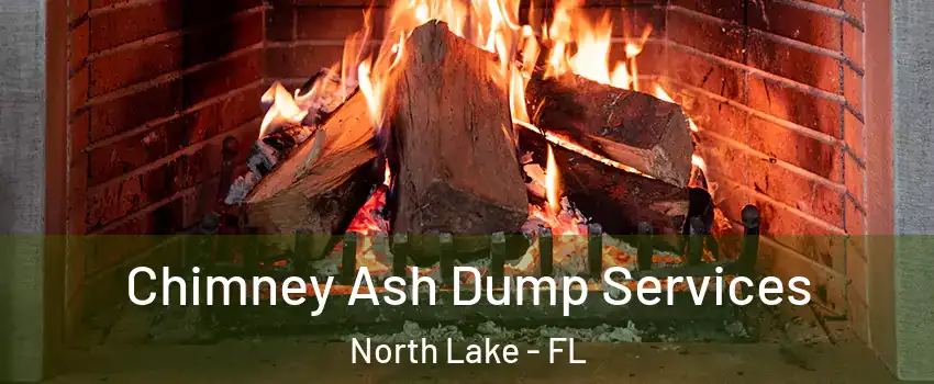 Chimney Ash Dump Services North Lake - FL