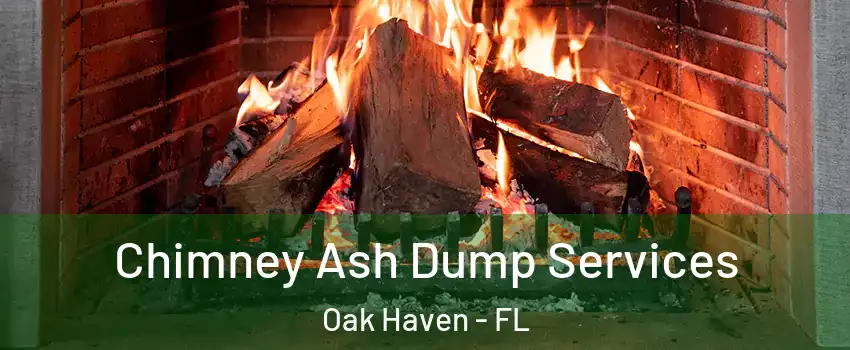Chimney Ash Dump Services Oak Haven - FL