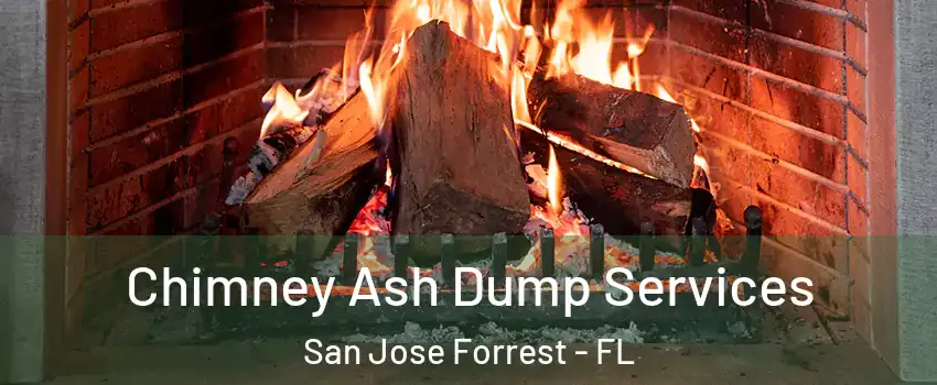 Chimney Ash Dump Services San Jose Forrest - FL