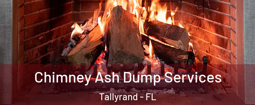 Chimney Ash Dump Services Tallyrand - FL