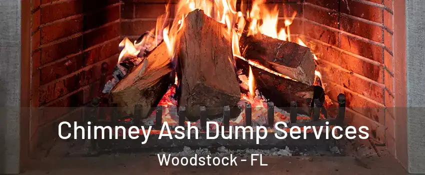 Chimney Ash Dump Services Woodstock - FL