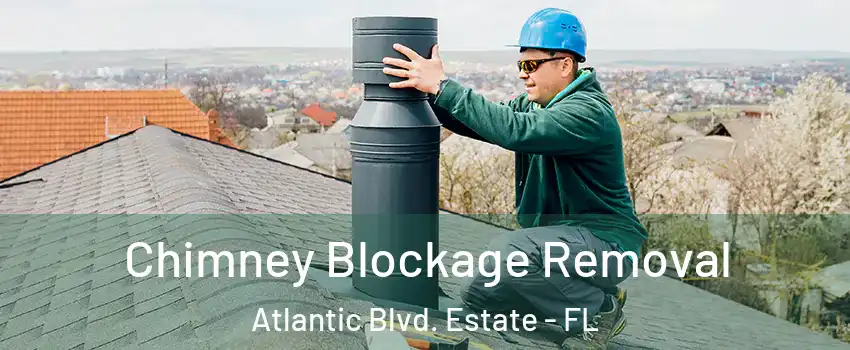 Chimney Blockage Removal Atlantic Blvd. Estate - FL