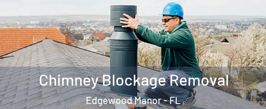 Chimney Blockage Removal Edgewood Manor - FL