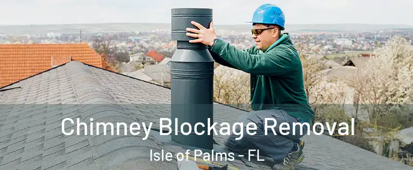 Chimney Blockage Removal Isle of Palms - FL