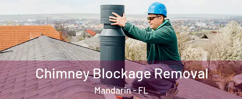 Chimney Blockage Removal Mandarin - FL