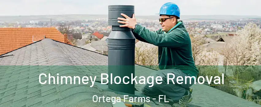 Chimney Blockage Removal Ortega Farms - FL