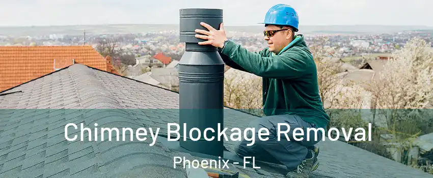 Chimney Blockage Removal Phoenix - FL