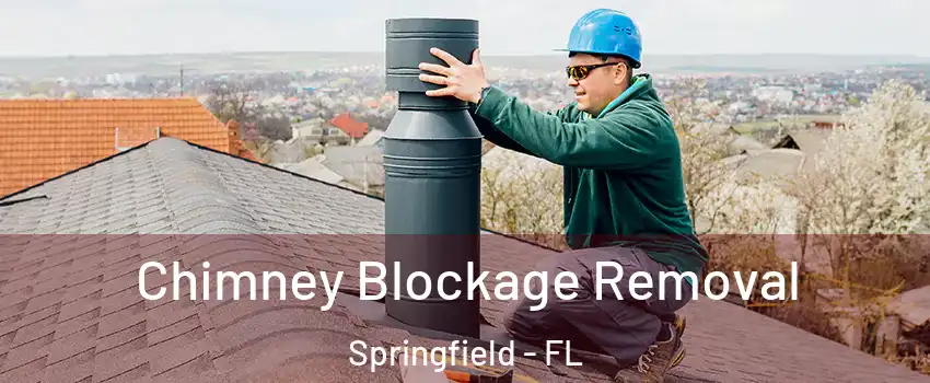 Chimney Blockage Removal Springfield - FL