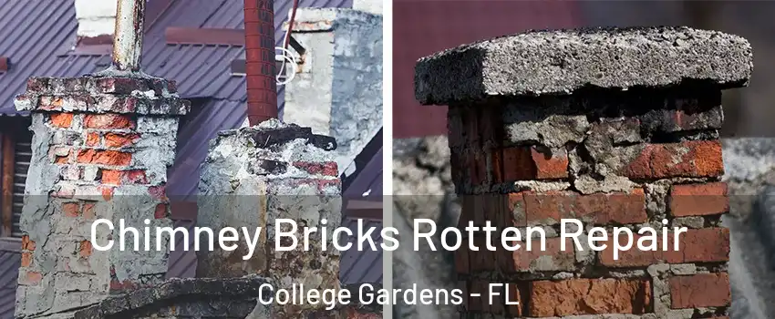 Chimney Bricks Rotten Repair College Gardens - FL
