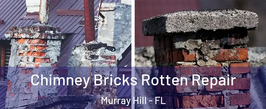 Chimney Bricks Rotten Repair Murray Hill - FL