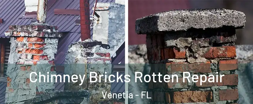Chimney Bricks Rotten Repair Venetia - FL