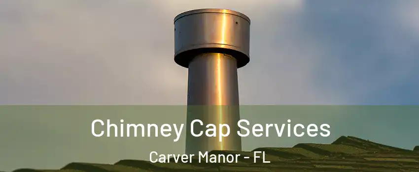 Chimney Cap Services Carver Manor - FL