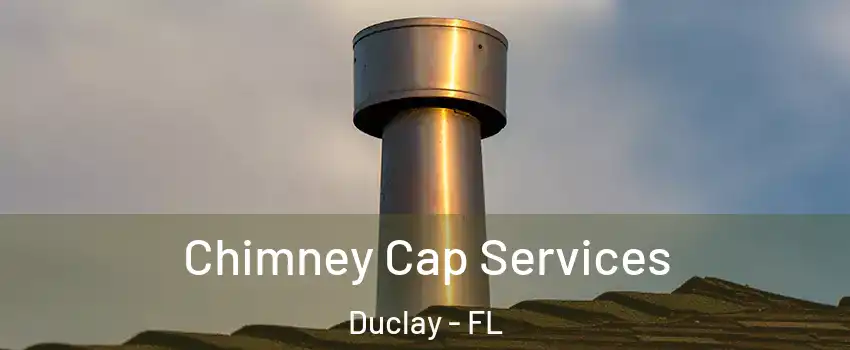 Chimney Cap Services Duclay - FL