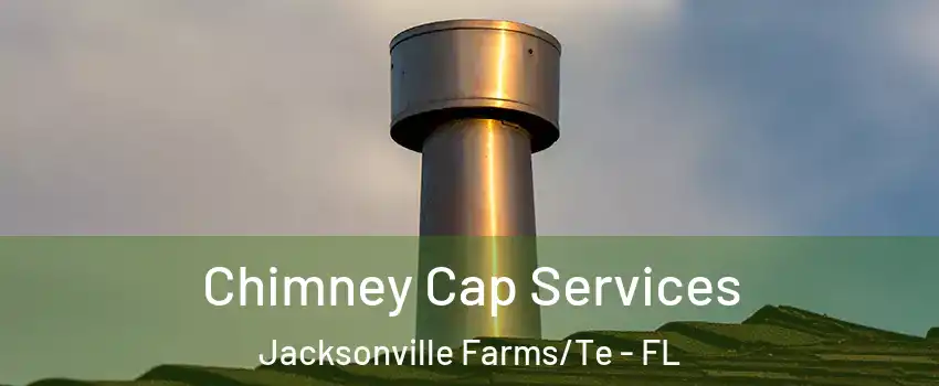 Chimney Cap Services Jacksonville Farms/Te - FL
