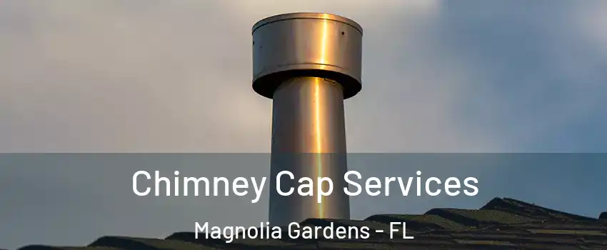 Chimney Cap Services Magnolia Gardens - FL