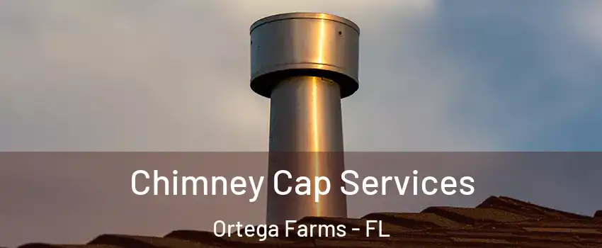 Chimney Cap Services Ortega Farms - FL