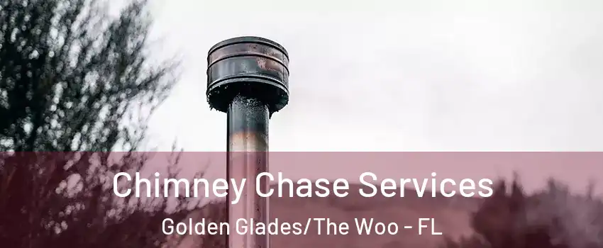 Chimney Chase Services Golden Glades/The Woo - FL