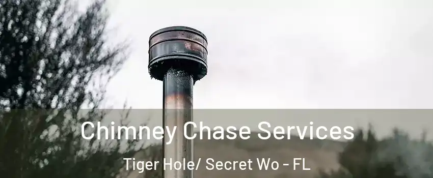 Chimney Chase Services Tiger Hole/ Secret Wo - FL